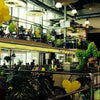 Star Cafe 150NIS Gift Card