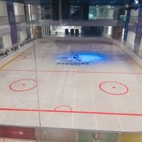 Penguins Skate Rink 120NIS Gift Card