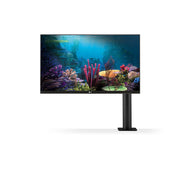 Monitor with Ergo Stand :   LG 27GN880-B UltraGear QHD Nano IPS 1ms 144Hz HDR G-SYNC Compatibility Monitor with Ergo Stand